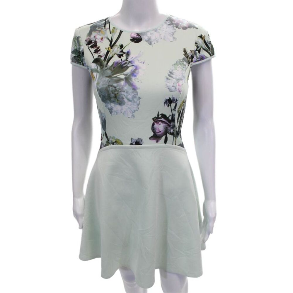 Ted Baker London Women Fit & Flare Green Dress Size 1